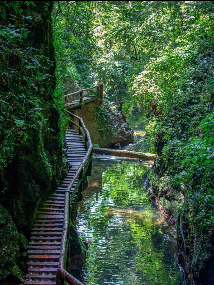 青城山